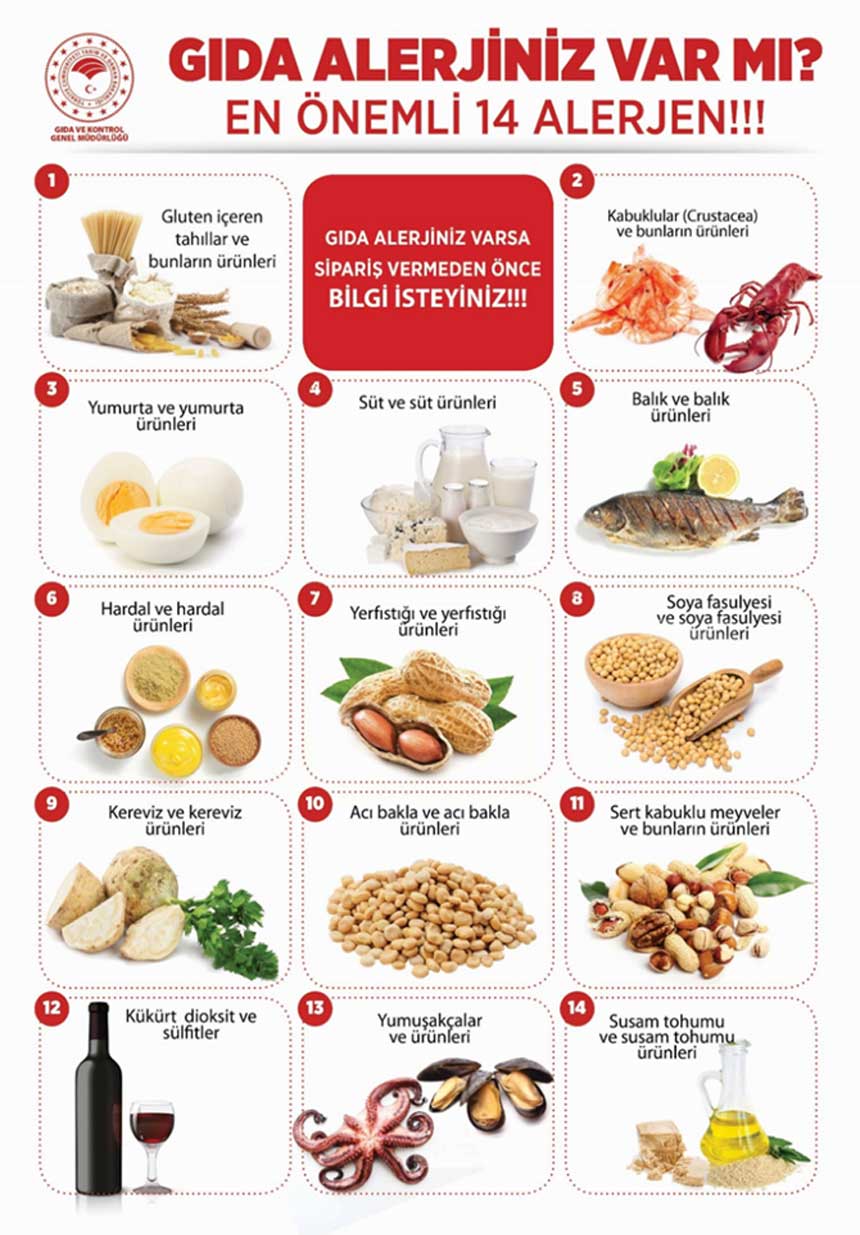 Gida Alerjisi 1