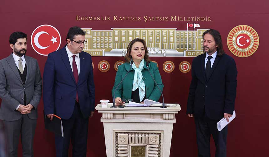 Muzeyyen Sevkin Jeoloji 1