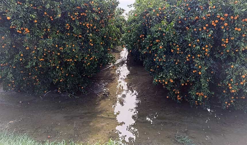 Ahencan Tayakısı 2