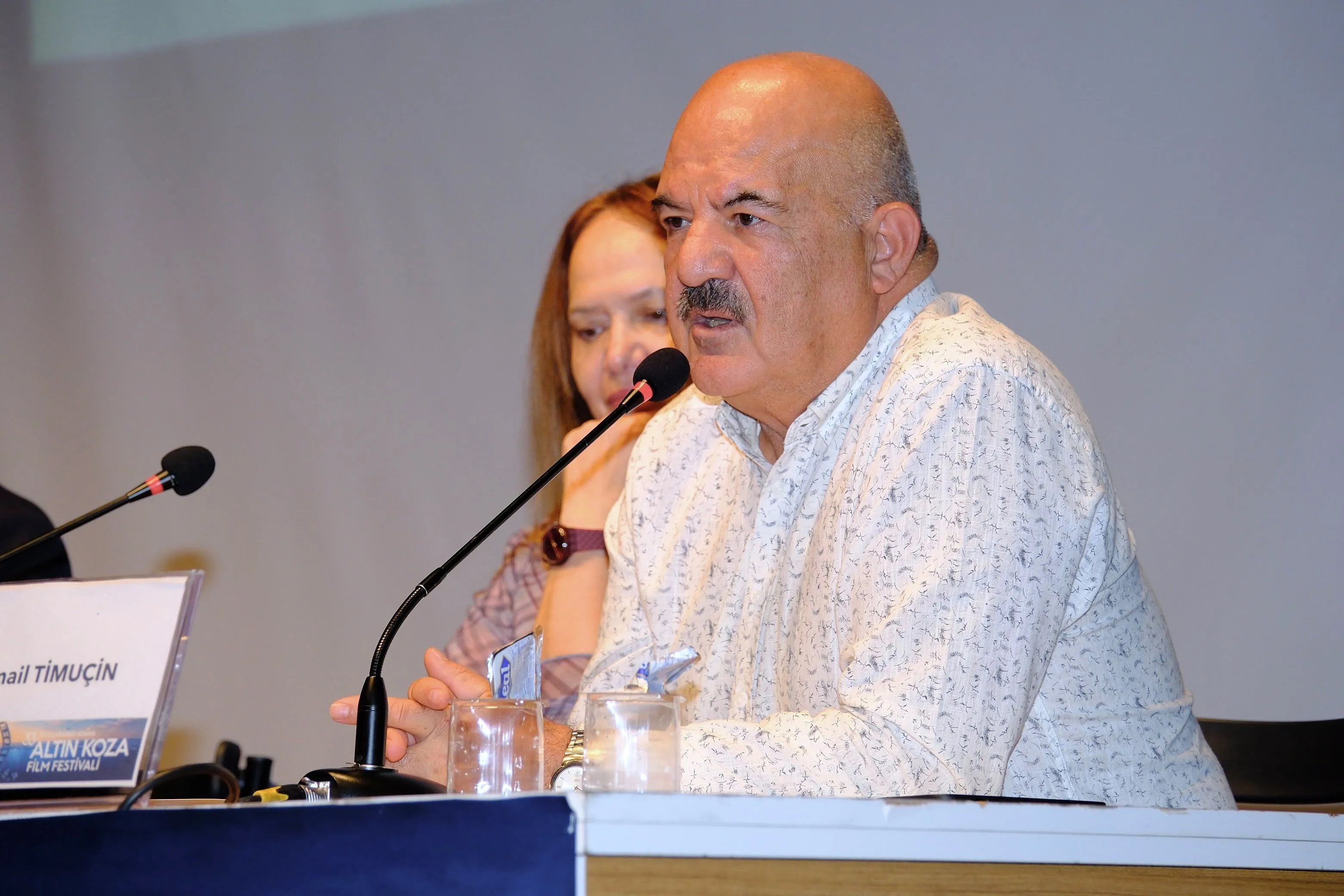 Ismail Timucin
